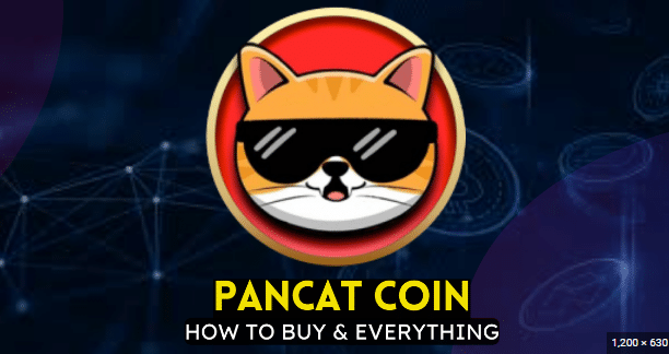Buying Pancat Cryptocurrency